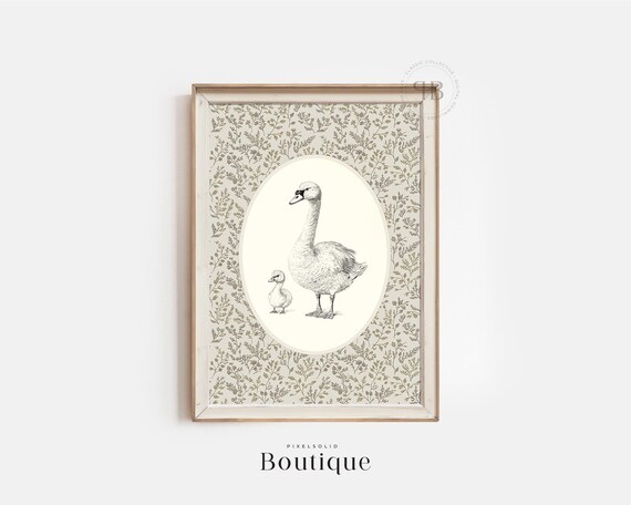 Swan And Cygnet Vintage Illustration On Floral Oval Art Poster