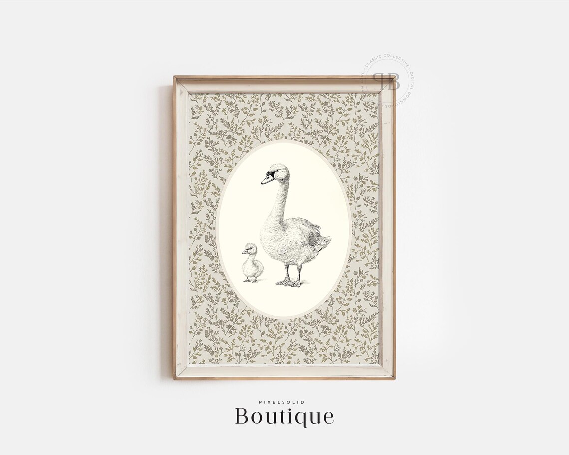 Swan And Cygnet Vintage Illustration On Floral Oval Art Poster