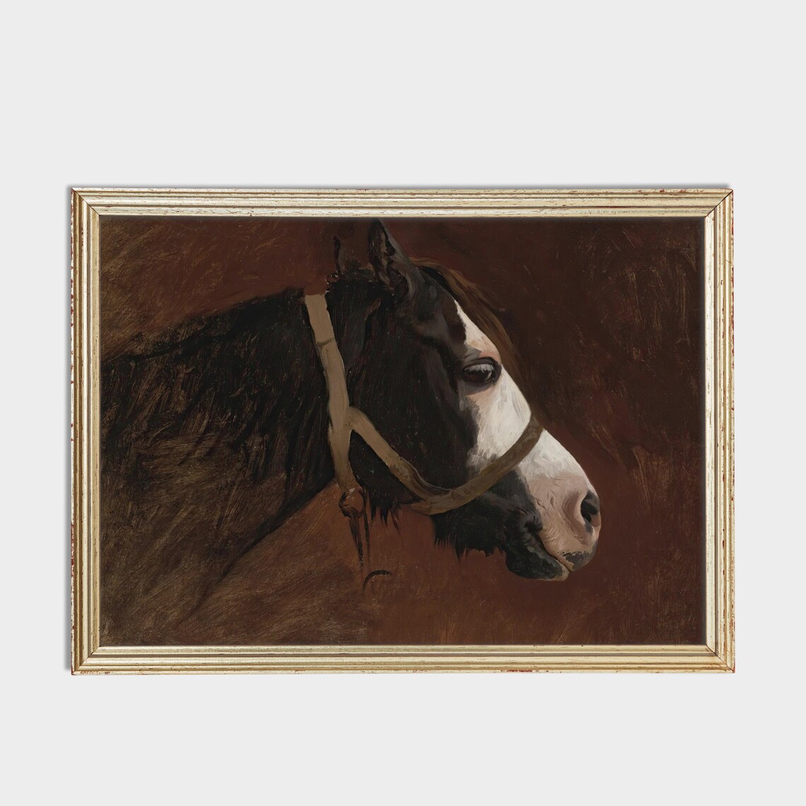Vintage Horse Portrait Antique Animal Print - Image 2