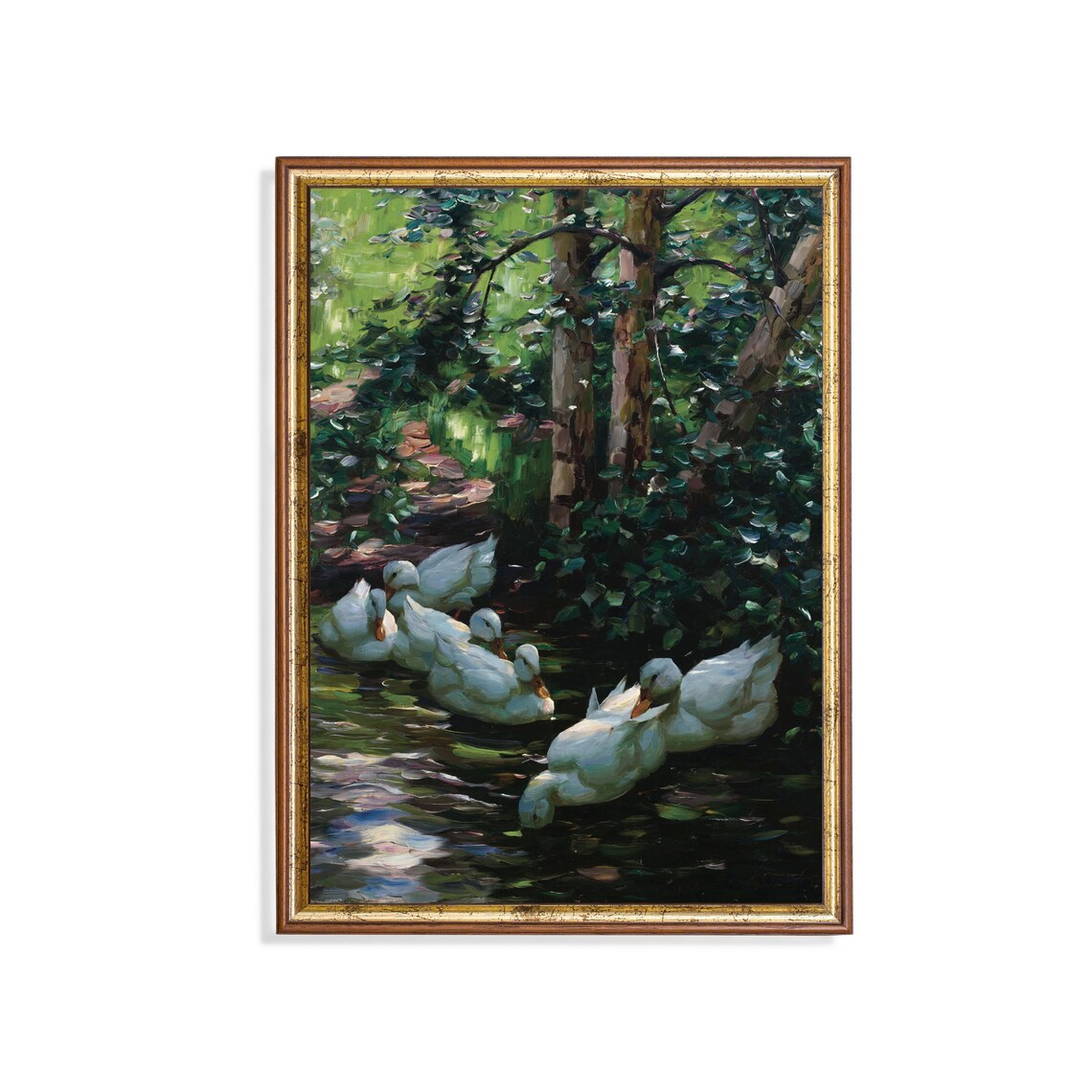 Six White Ducks Swimming in a Shady Woodland Pond Vintage Poster