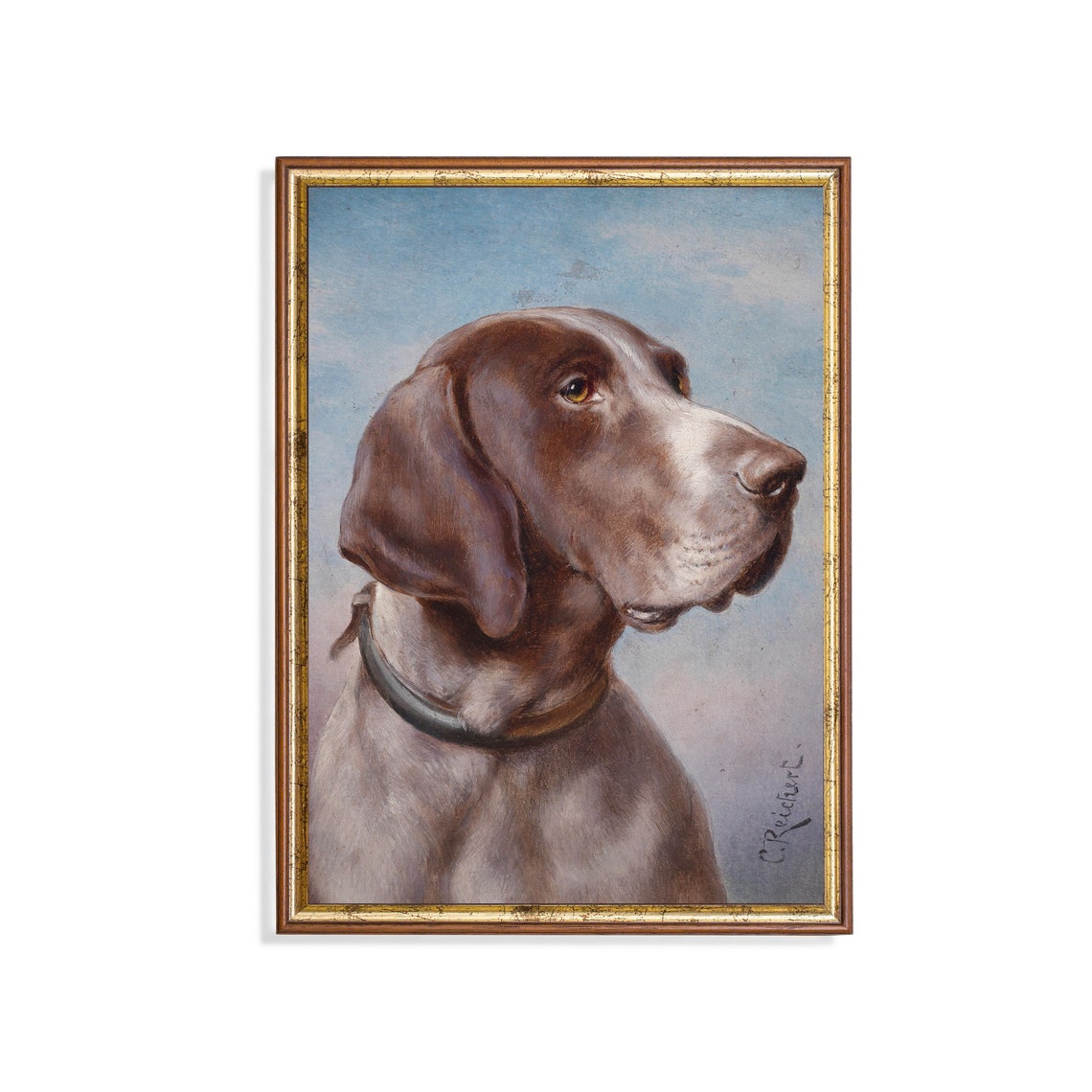 Vintage Pointer Dog Portrait Antique Gundog Head Study Oil Poster
