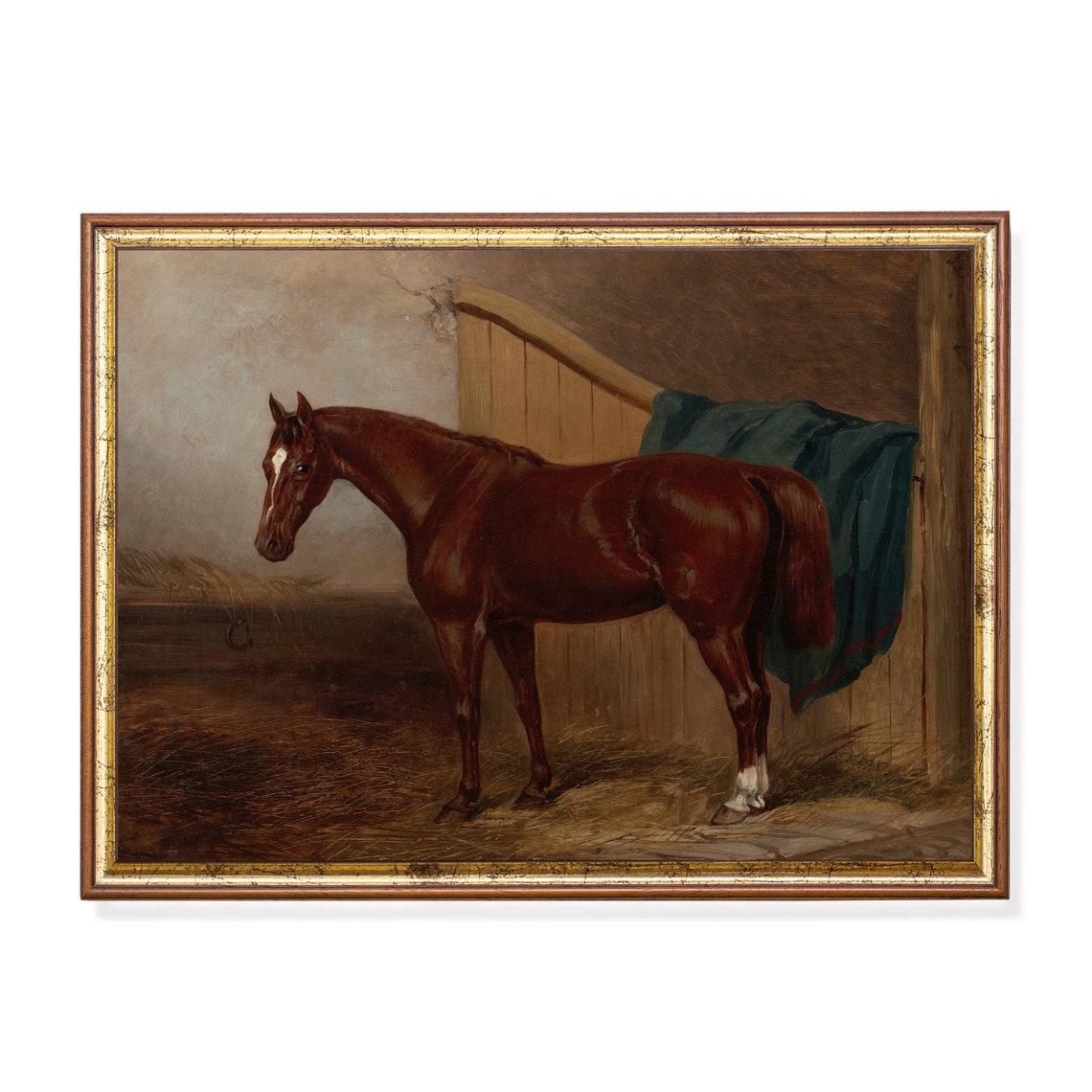 Bay Horse Standing by a Stable Door with a Blue Blanket Poster