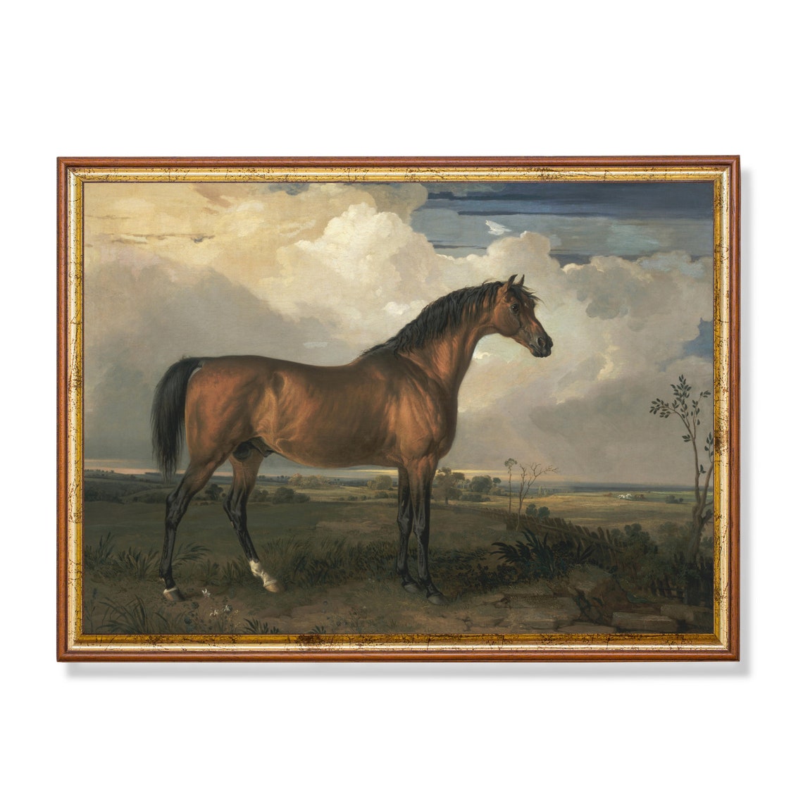 Vintage Horse Painting Antique Equestrian Print Farmhouse Animal Art Wall Art Oil Painting Fine Art