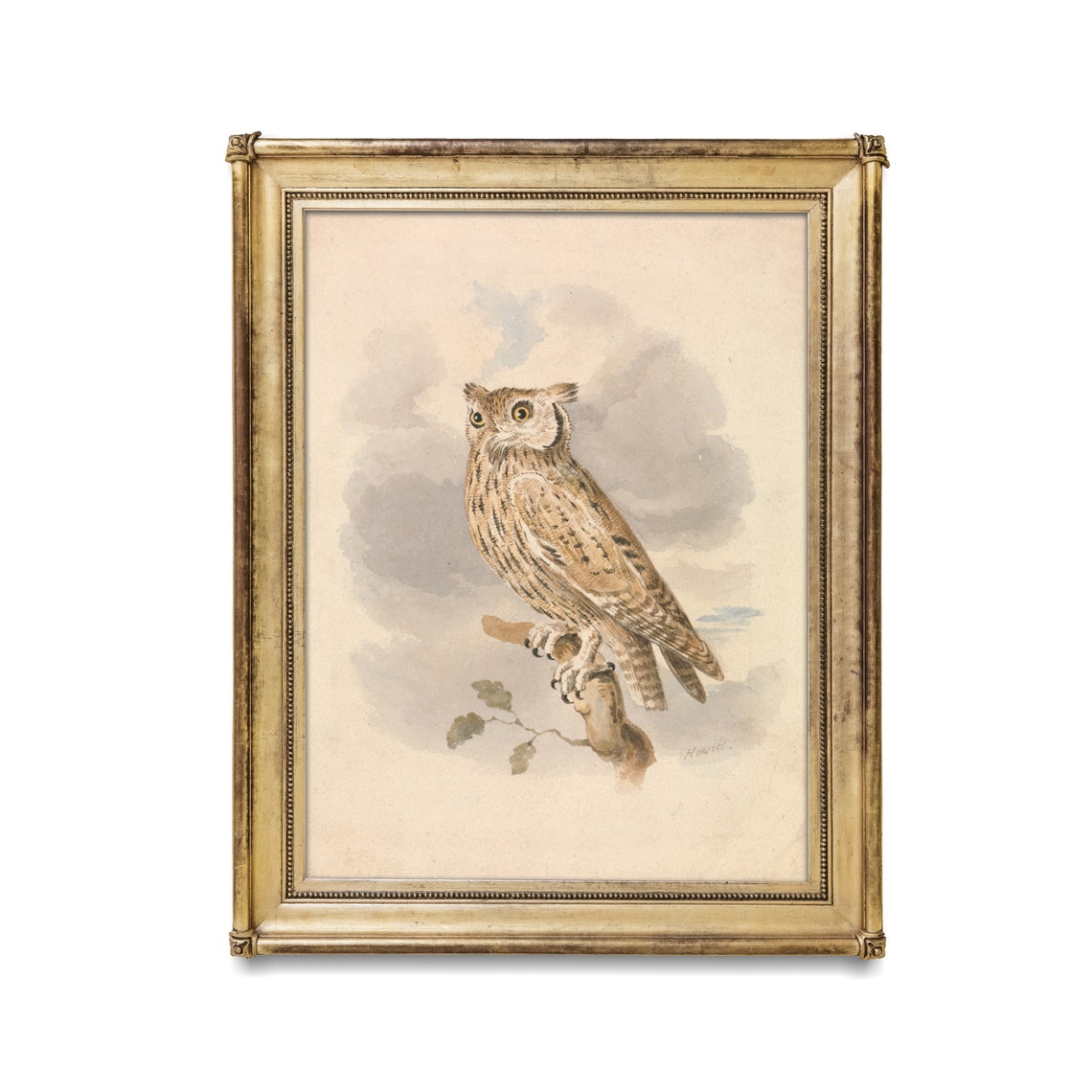 Long-Eared Owl Perched on Branch Antique Watercolor Bird Poster - Image 2