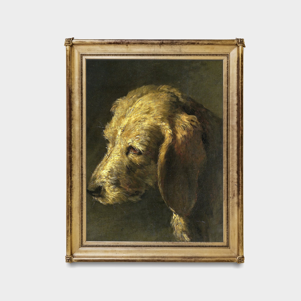 Close Study of a Golden Hound's Head Vintage Dog Portrait Poster - Image 2