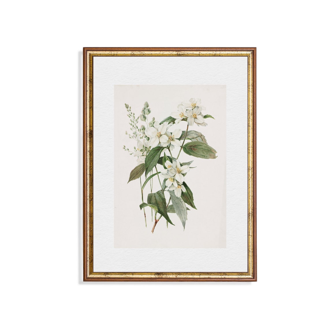 Vintage Botanical Print Antique Flower Art Wall Art Farmhouse French Country Decor Floral Painting