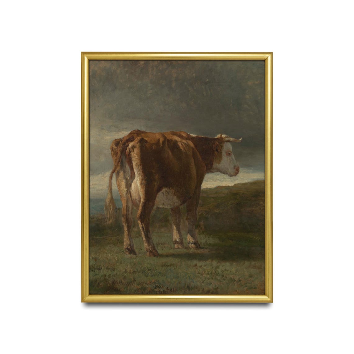 Brown and White Cow Standing in a Field Vintage Animal Poster - Image 2