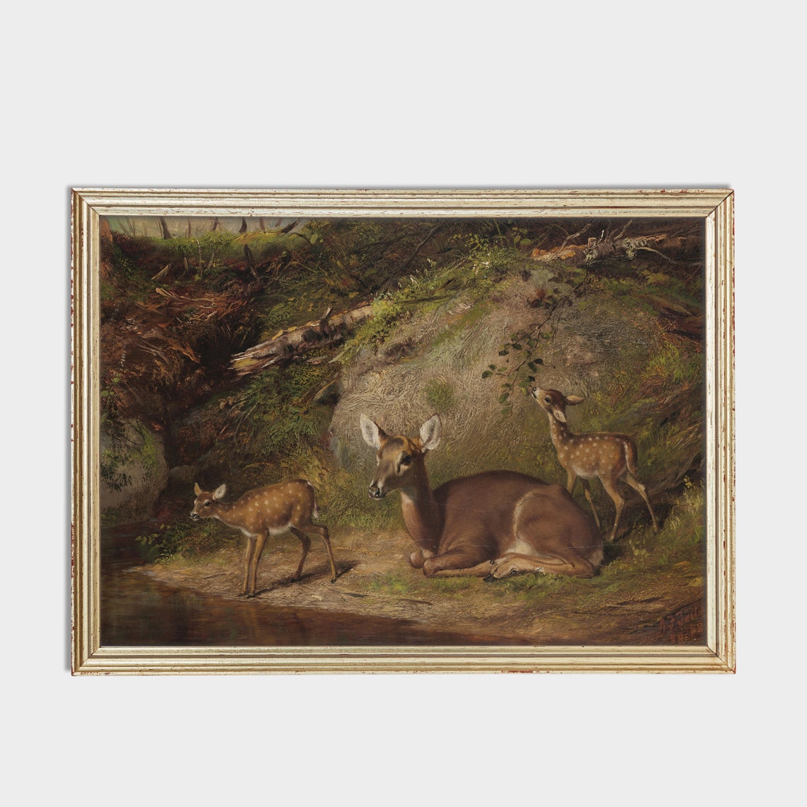 Doe With Two Spotted Fawns By A Forest Stream Vintage Wildlife Poster - Image 2