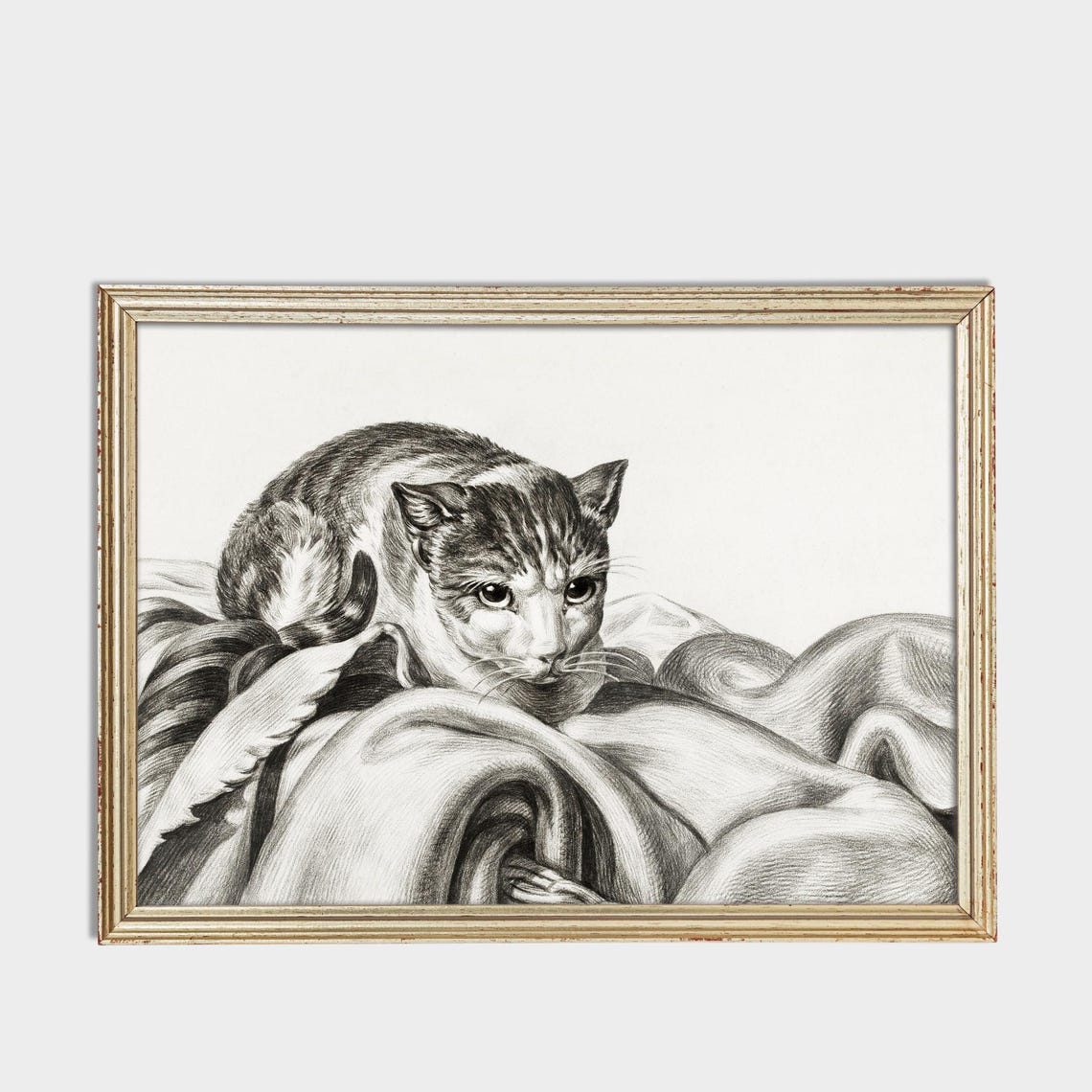 Cat Resting on Draped Fabric Vintage Graphite Drawing Poster - Image 3