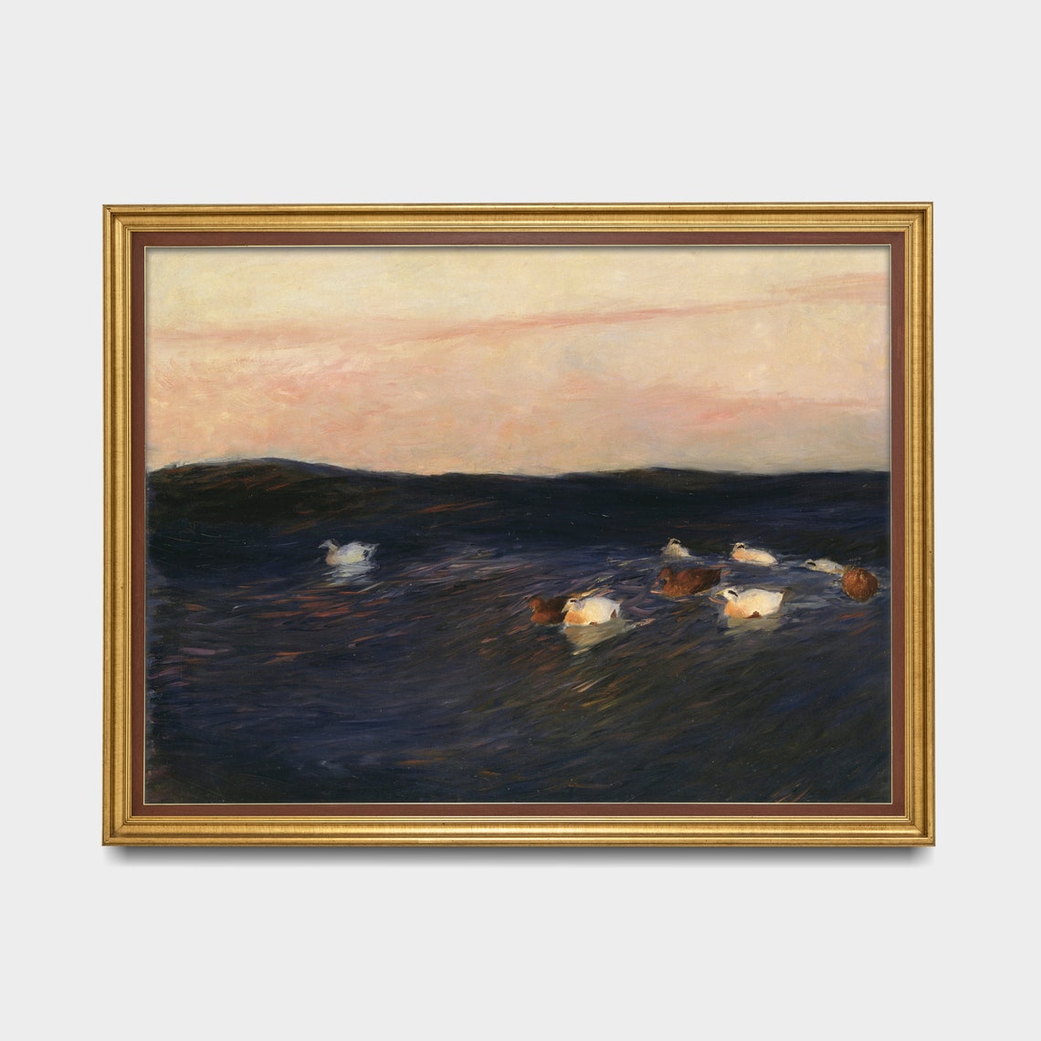 White and Brown Ducks Floating on Dark Water at Pink Sunset Poster - Image 5