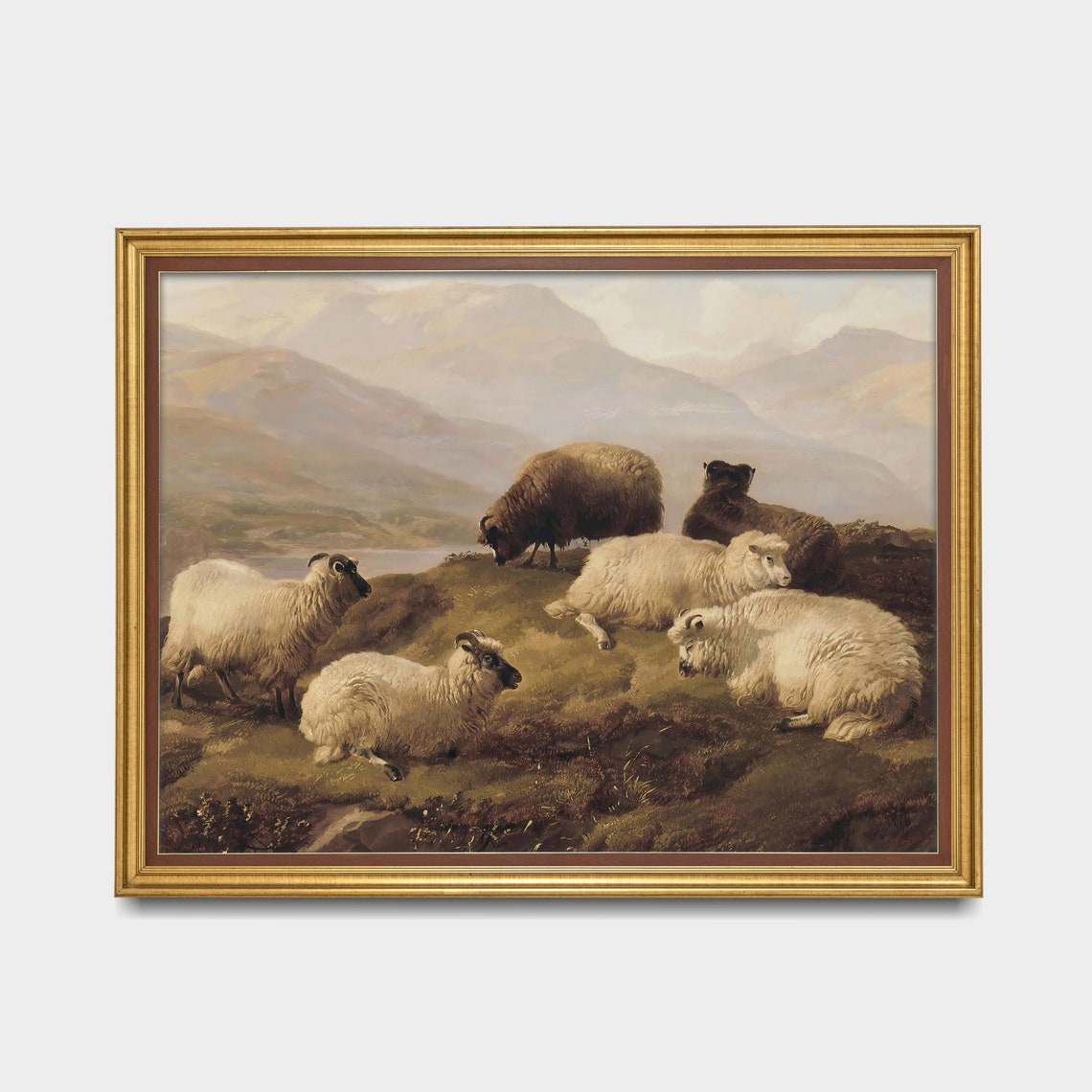 Flock of Sheep Resting on a Highland Slope Mountain Scene Oil Print - Image 3
