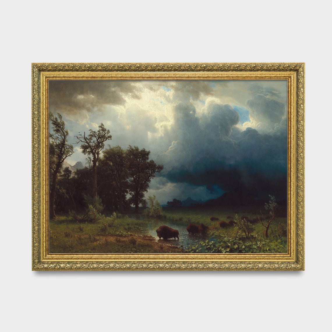 Buffalo at a Watering Hole Under Storm Clouds Vintage Art Poster - Image 3