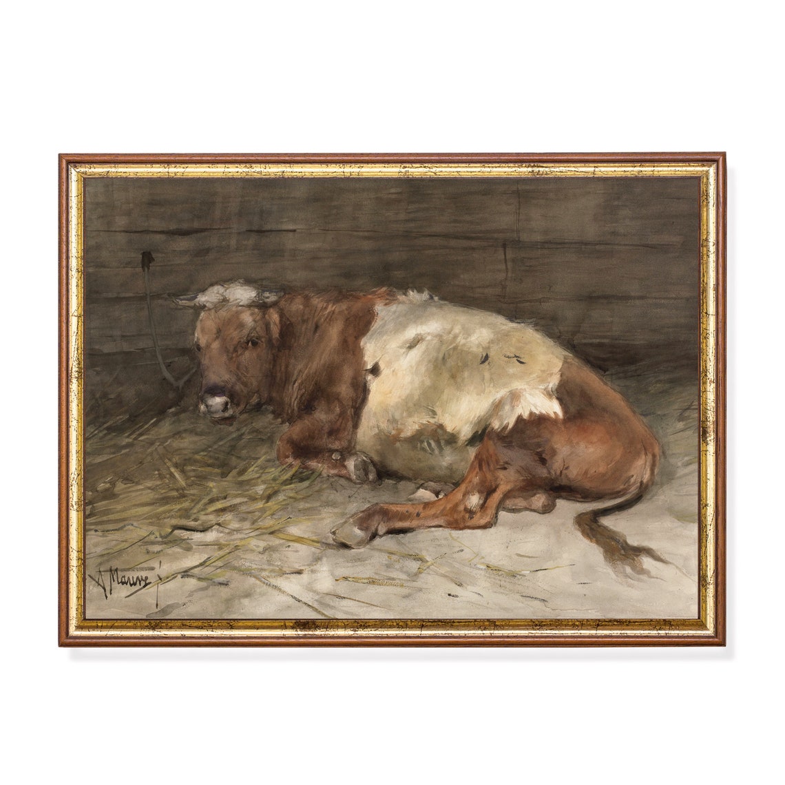 Young Bull Lying in Straw Signed Anton Mauve Farm Animal Poster