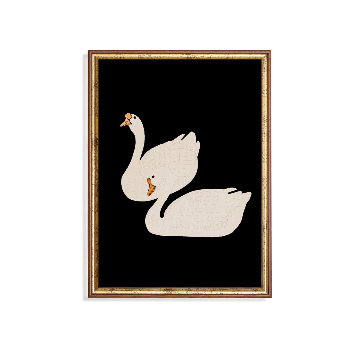 White Swan Antique Water Bird Art Print, Dark Academia Rustic