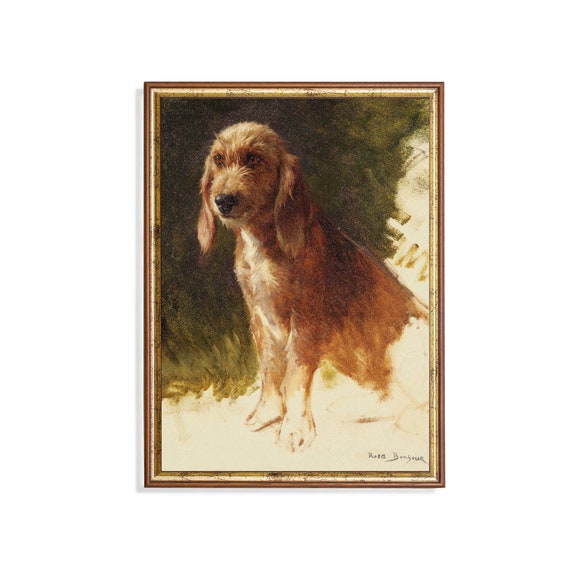 Printed And Shipped Study Of A Dog Vintage Dog Print Antique Animal Print Farmhouse Decor Rustic Moody Art Physical Prints