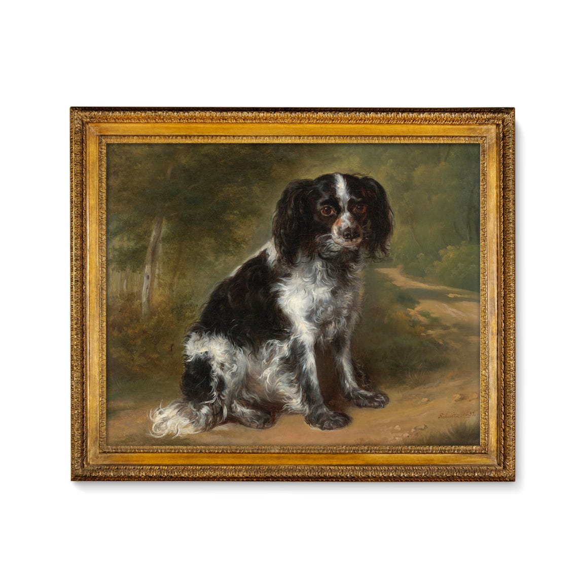 Black and White Spaniel Sitting on a Woodland Path Portrait Poster - Image 5