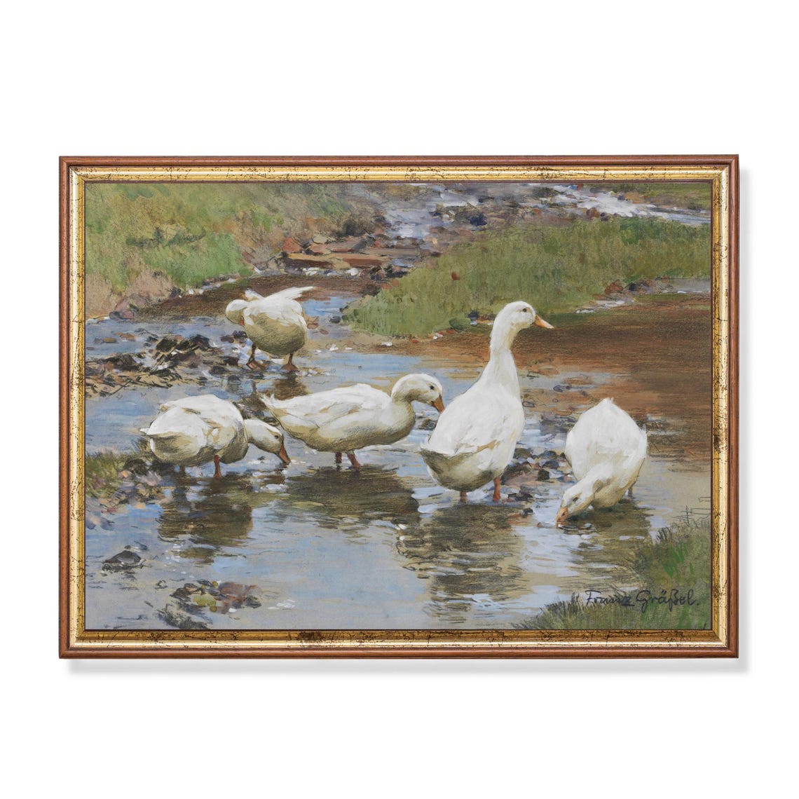 White Ducks Drinking at a Stream by Franz Grässel Vintage Poster