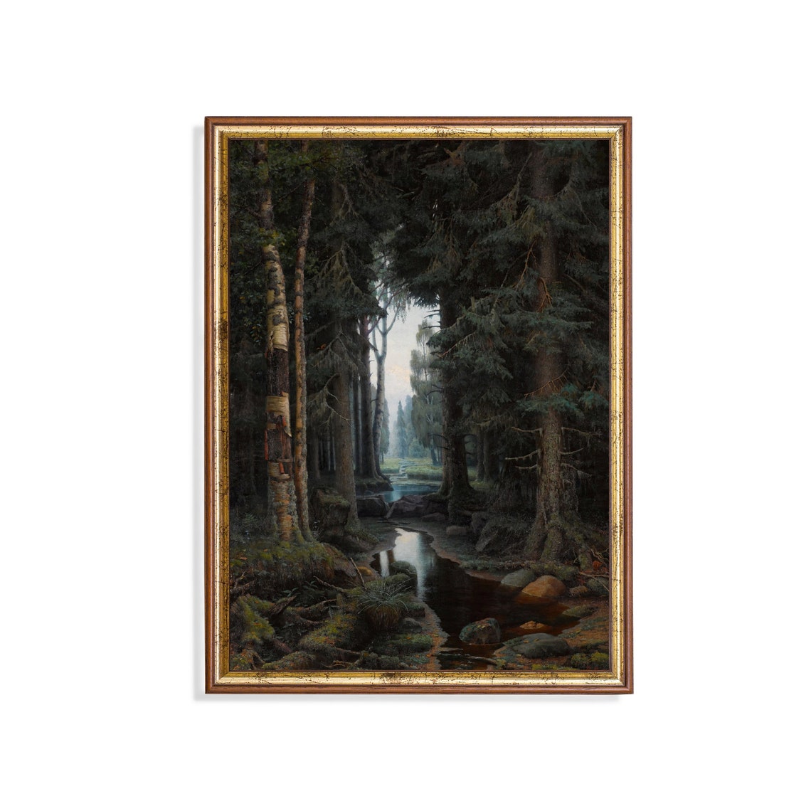 Dark Pine Forest with a Winding Stream Moody Woodland Poster