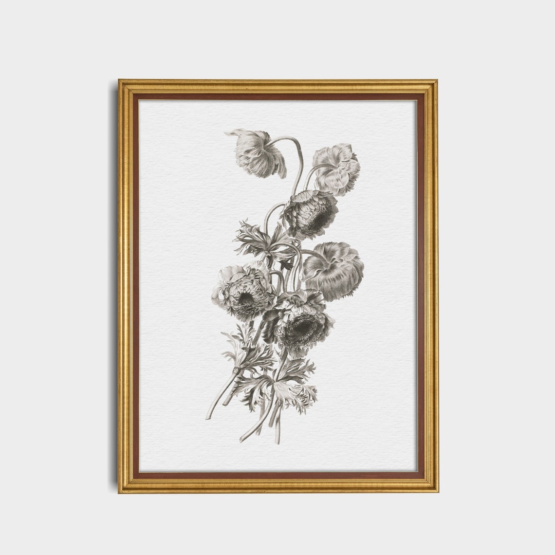 Monochrome Botanical Sketch of Anemone Flowers Antique Poster - Image 4