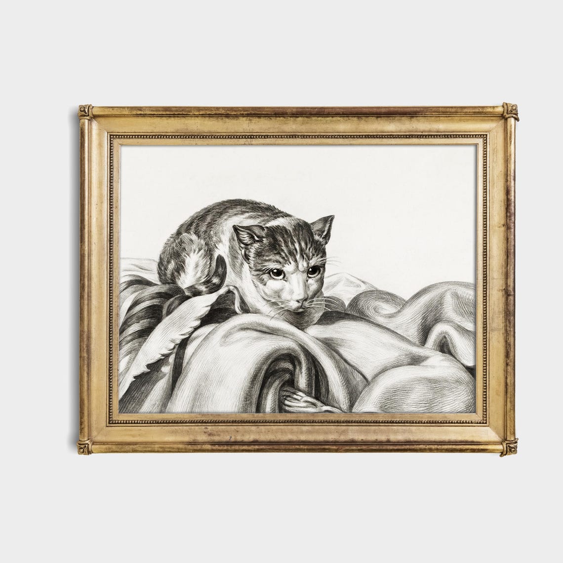 Cat Resting on Draped Fabric Vintage Graphite Drawing Poster - Image 4