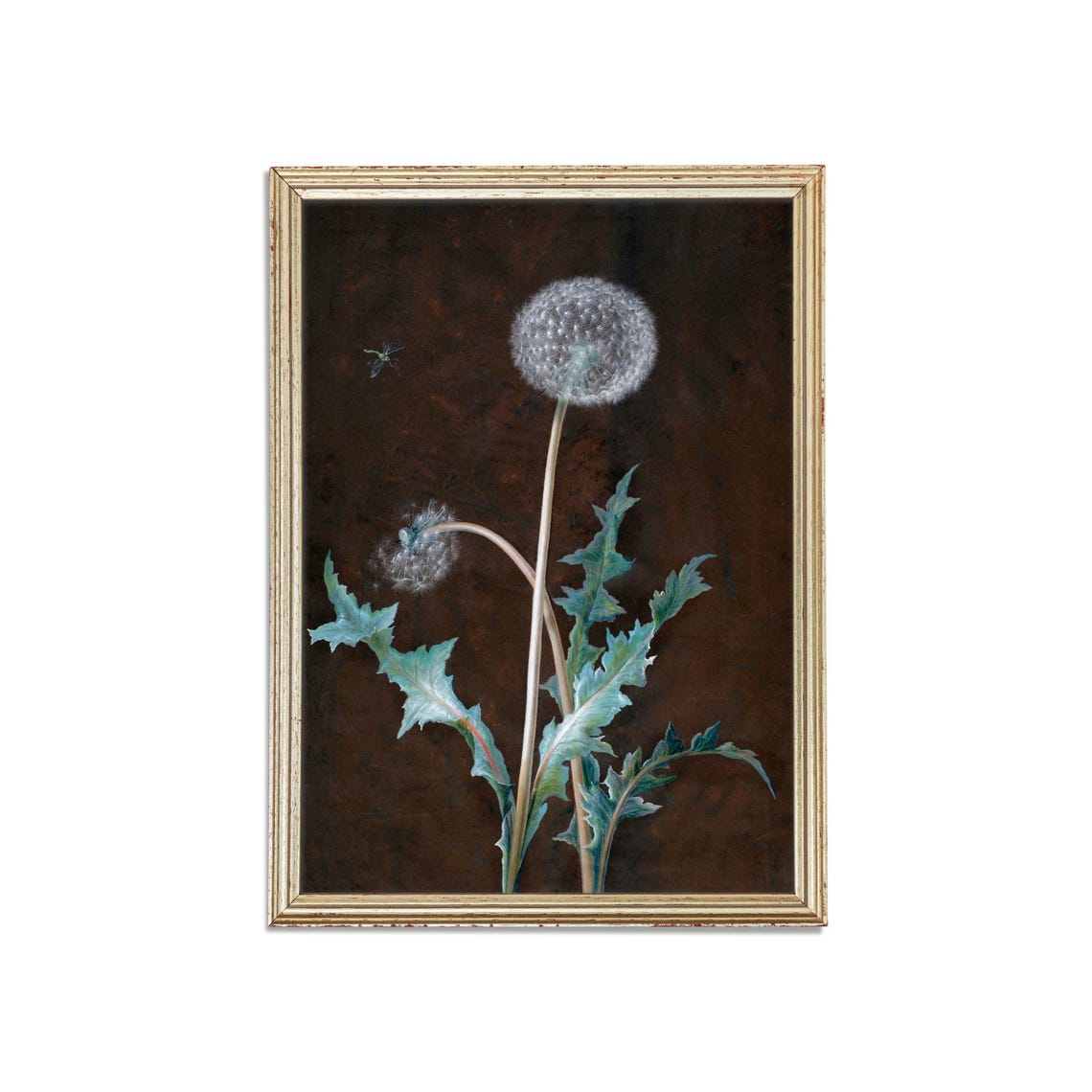 Wild Dandelion Seed Head Moody Botanical Dark Floral Wall Poster - Image 3