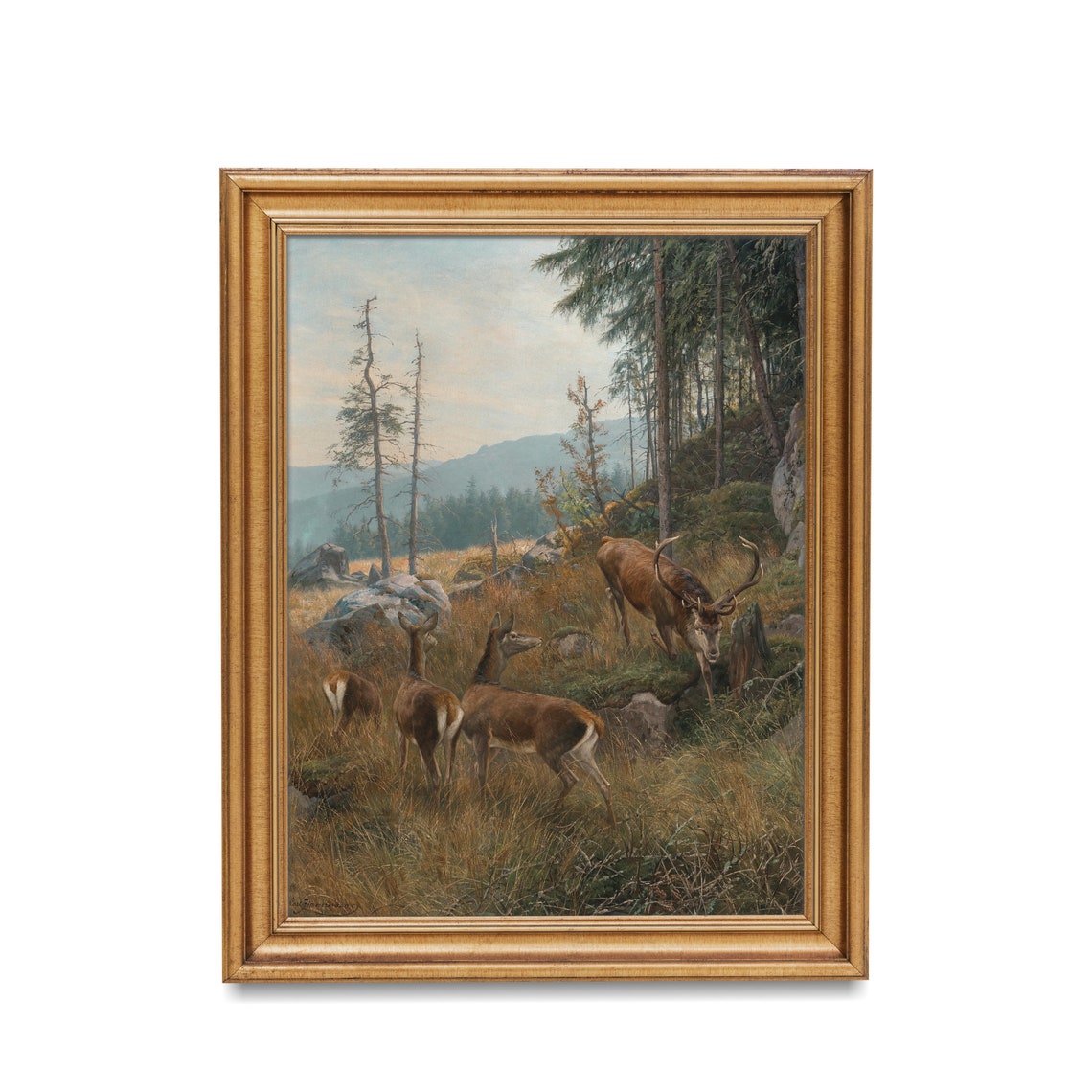 Red Deer Stag with Hinds in Mountain Forest Wildlife Painting Poster - Image 4