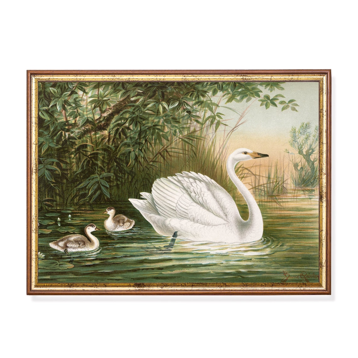 Vintage Swan Painting Art Print, Nursery Bird Decor