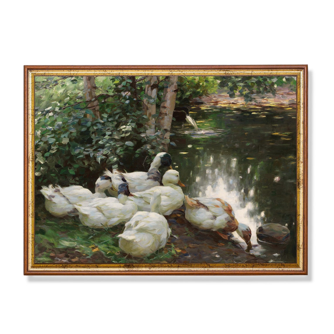 White Ducks Gathered at the Edge of a Shaded Woodland Pond Poster