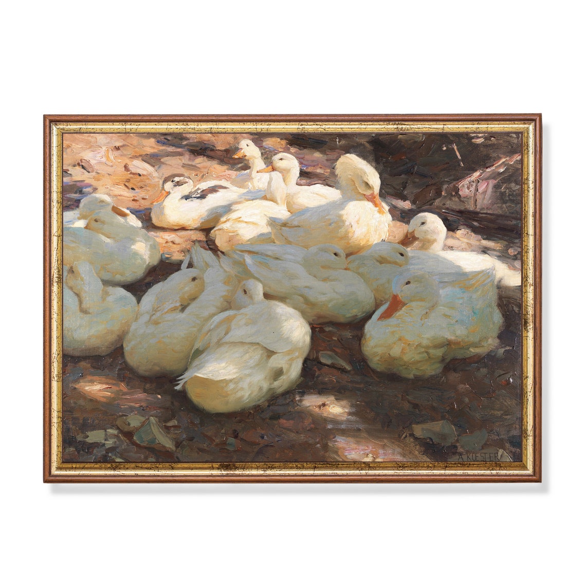 Resting White Ducks In Warm Sunlight Vintage Painting Poster