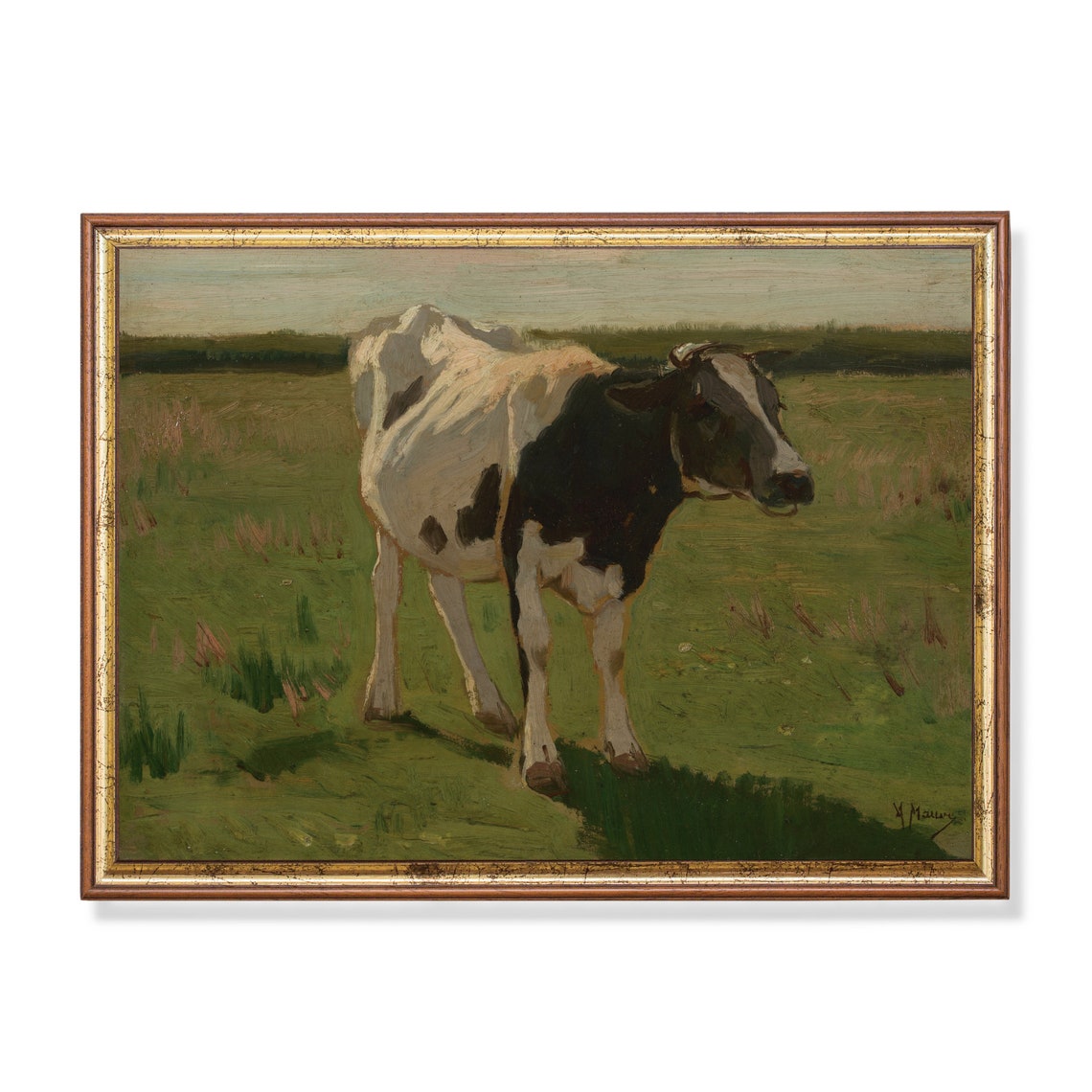 Black and White Cow Standing in a Green Meadow Vintage Poster