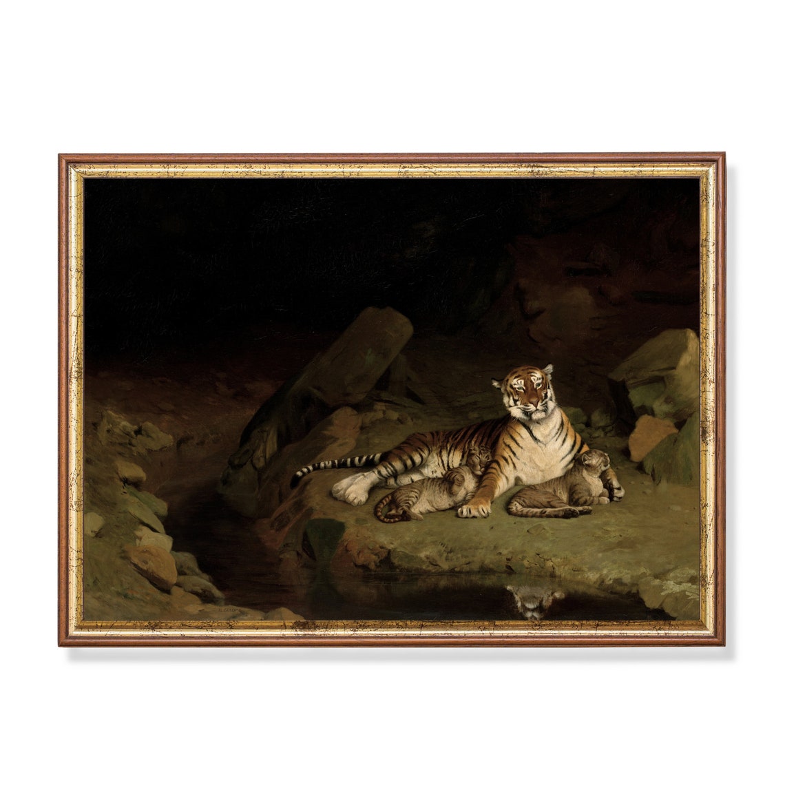 Tigress With Two Cubs Resting Vintage Wildlife Painting Poster