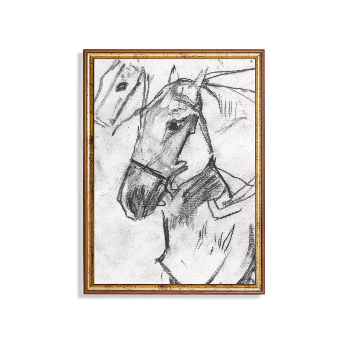 Horse Head Charcoal Sketch Antique Equestrian Drawing Poster