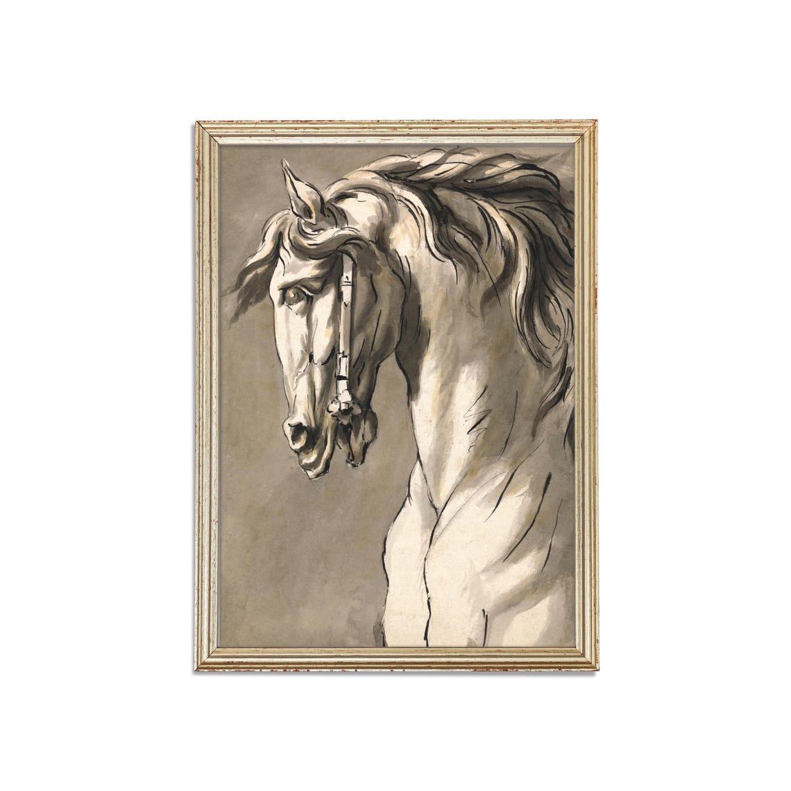 Noble White Horse Head Study Vintage Equine Pencil Sketch Poster - Image 3