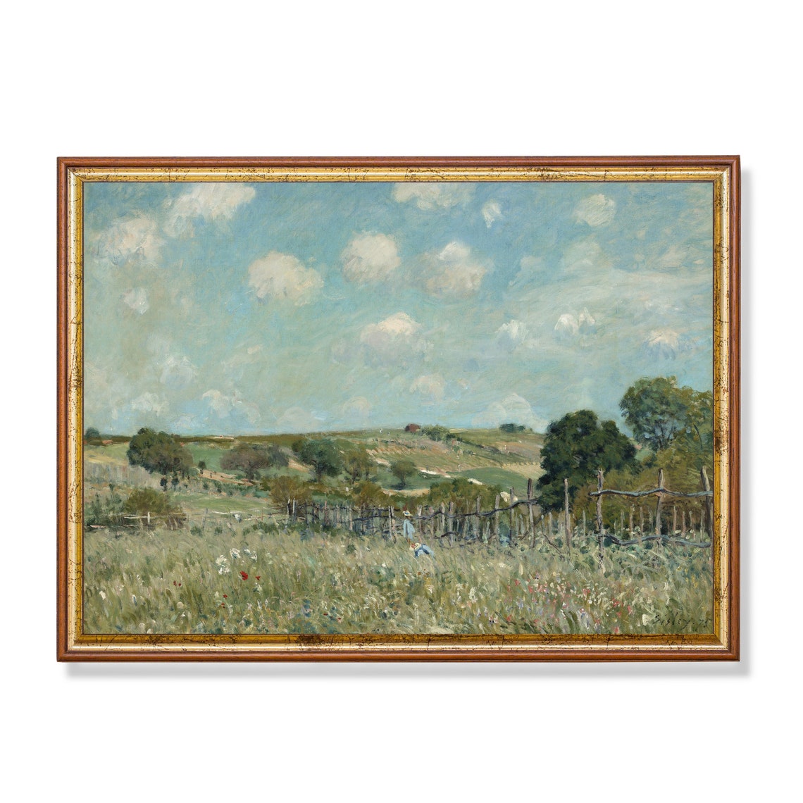 Spring Meadow Wildflowers Hillside Vineyard Vintage Landscape Poster