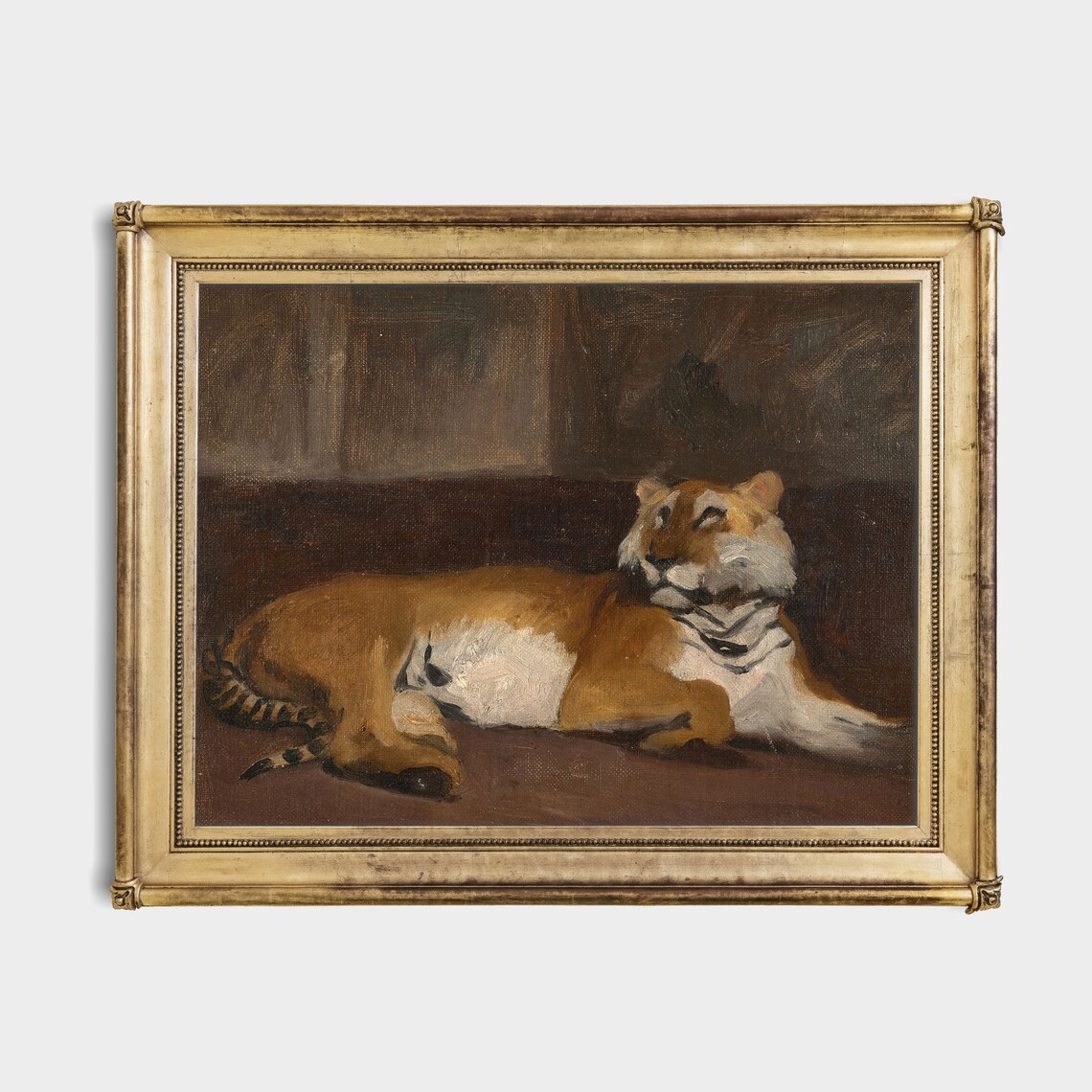 Golden Tiger Resting Against Dark Background Vintage Wildlife Poster - Image 2