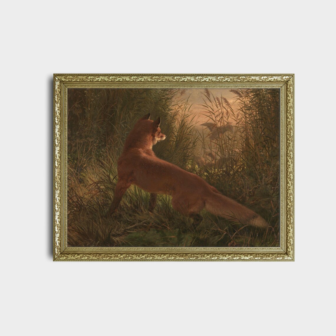 Red Fox Prowling Through Tall Reeds at Dusk Oil Painting Poster - Image 2