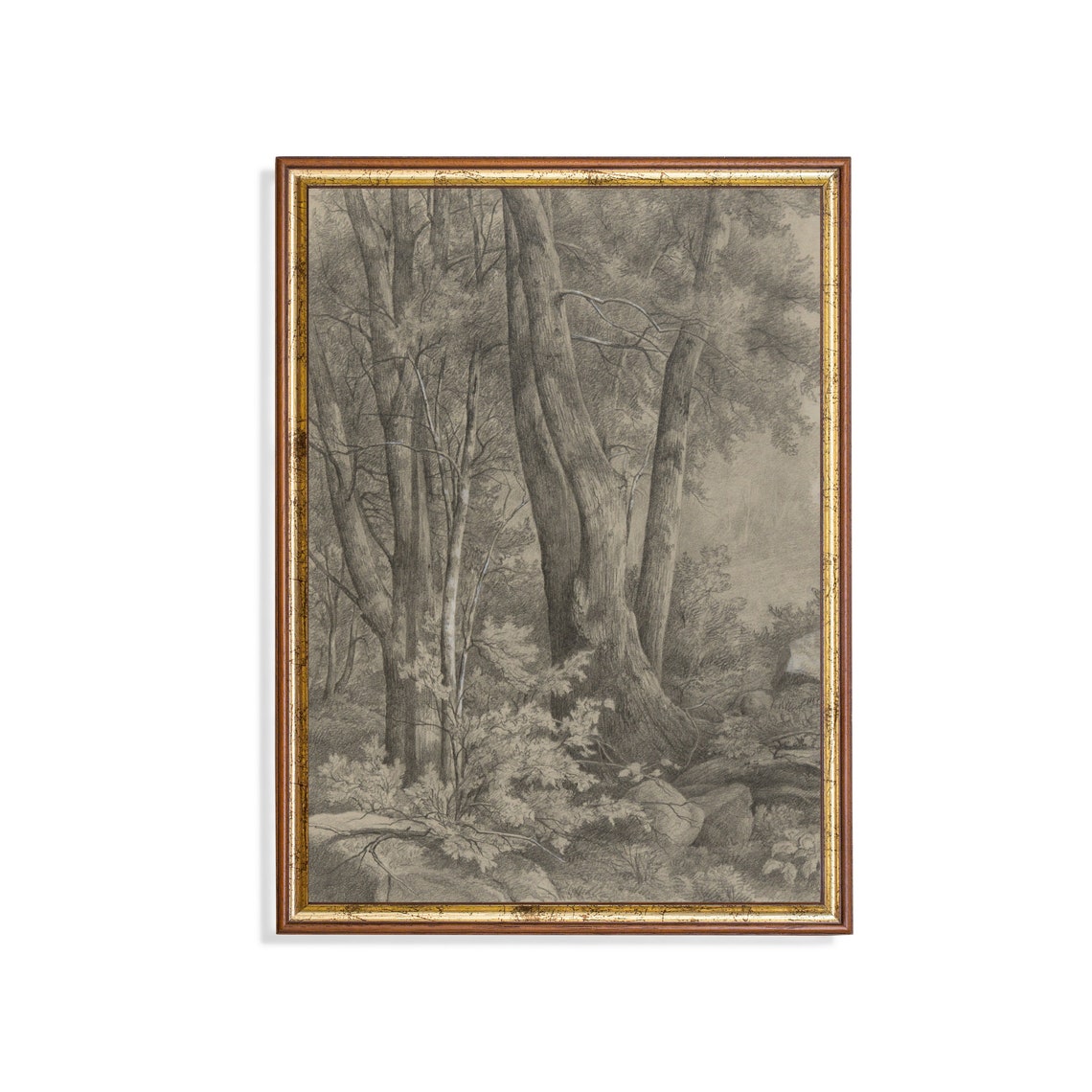 Printed And Shipped Vintage Tree Sketch Drawing Antique Sketch Print Neutral Art Forest Drawing Farmhouse Decor Physical Prints