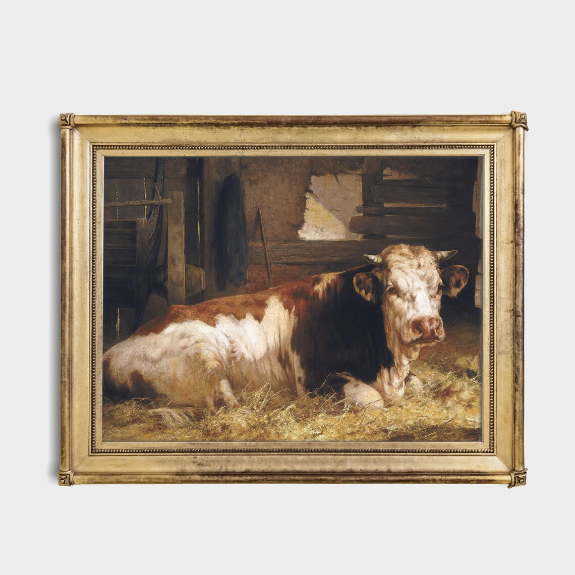 Vintage Cow Resting in Straw Barn Farm Animal Painting Poster - Image 3