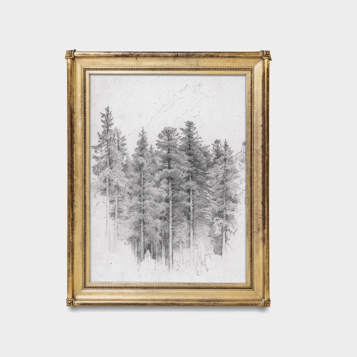 Study Of A Trees Sketch Drawing Vintage Wall Art Vertical Art Neutral Popular Prints Antique Drawing - Image 2