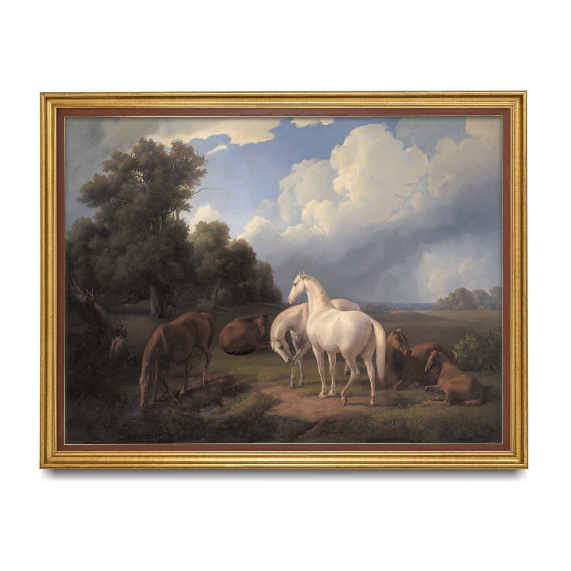 Antique White Arabian Horse Among Chestnut Herd Pasture Poster - Image 3