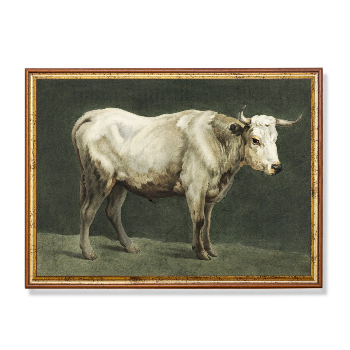 Vintage Bull Antique Farmhouse Wall Art Print