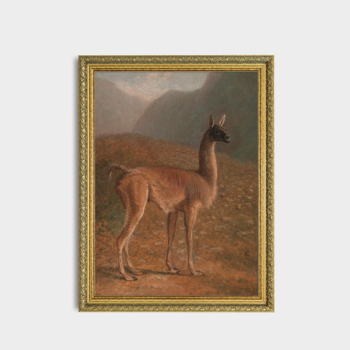 Solitary Guanaco Standing in a Misty Mountain Landscape Poster - Image 3