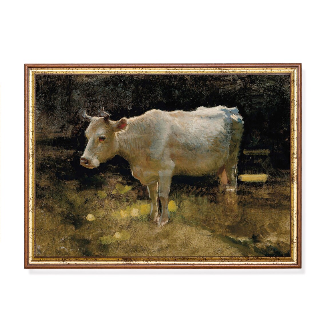 White Cow Standing in a Moody Dark Pasture Animal Painting Poster