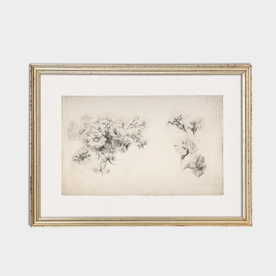 Pencil Floral Sketch Study Antique Botanical Drawing Art Poster - Image 2