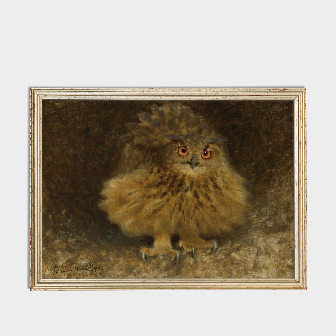 Fluffy Young Owl With Huge Bright Orange Eyes Vintage Poster - Image 3
