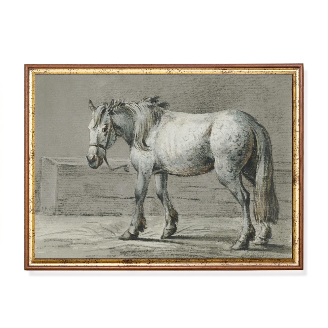 Antique Dapple Grey Horse Sketch Dated 1810 Equestrian Drawing Poster - Image 5