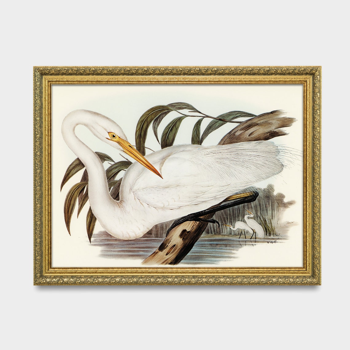 White Egret Perched on a Branch Over Water Vintage Bird Poster - Image 2