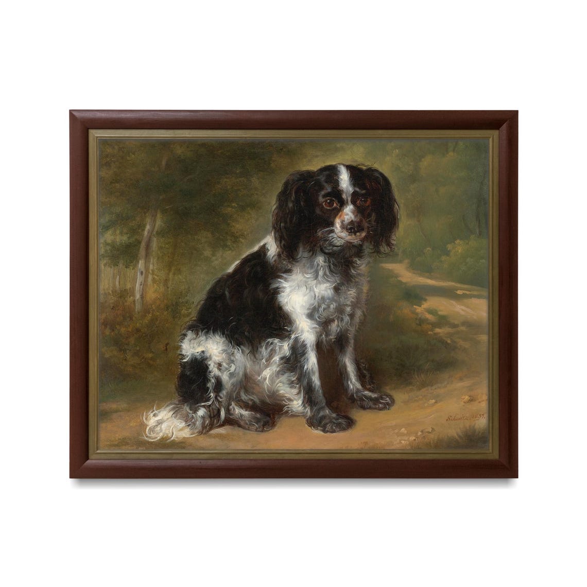 Black and White Spaniel Sitting on a Woodland Path Portrait Poster - Image 3