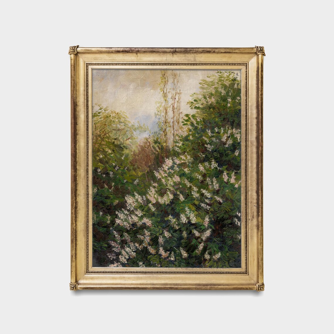 Blooming Lilac Bush White and Pink Blossoms Garden Floral Poster - Image 5