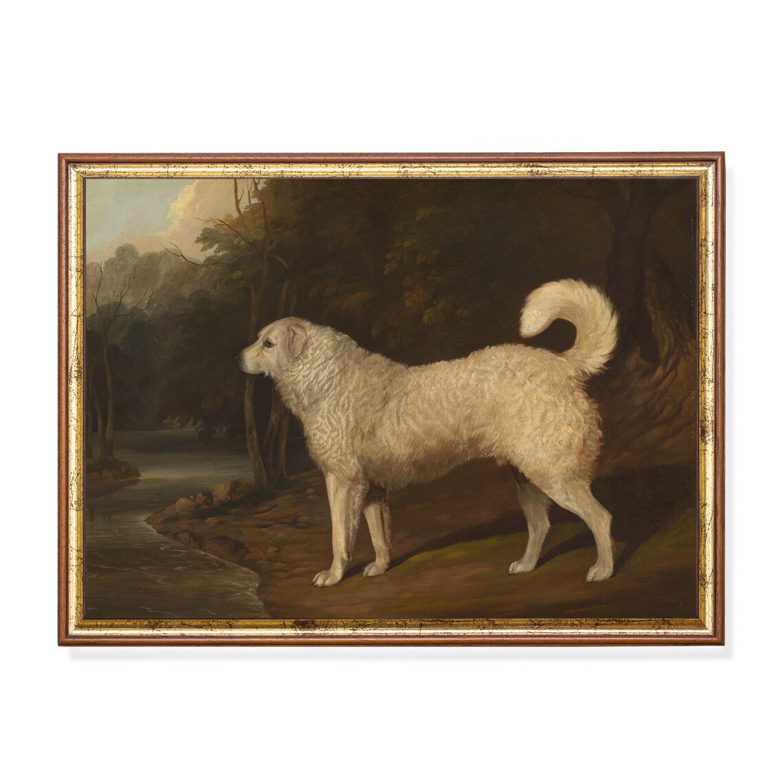 White Curly Coated Dog By River At Dusk Vintage Dog Painting Poster
